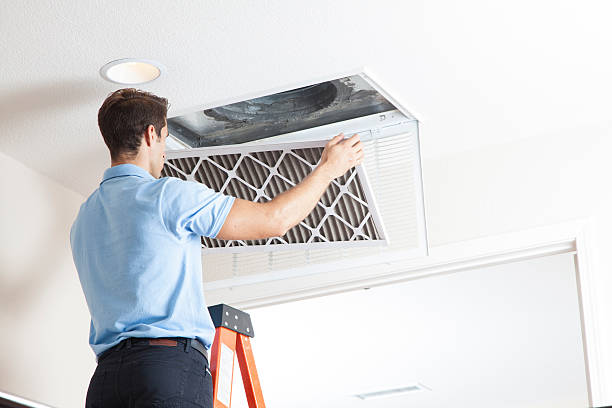 Best HVAC contractors  in Lan, MI